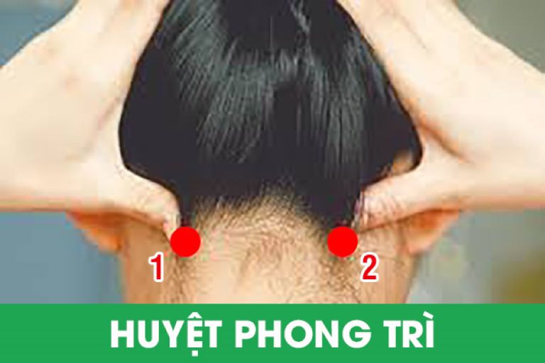 Vị trí cặp huyệt Phong trì