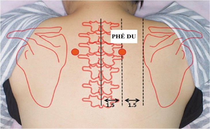 Chữa ho với huyệt Phế du