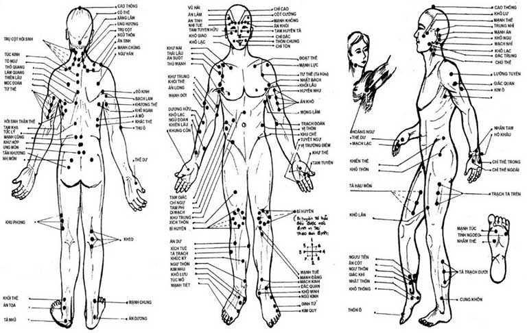 Những huyệt đạo trên cơ thể liên hệ với nhau theo một hệ thống nhất