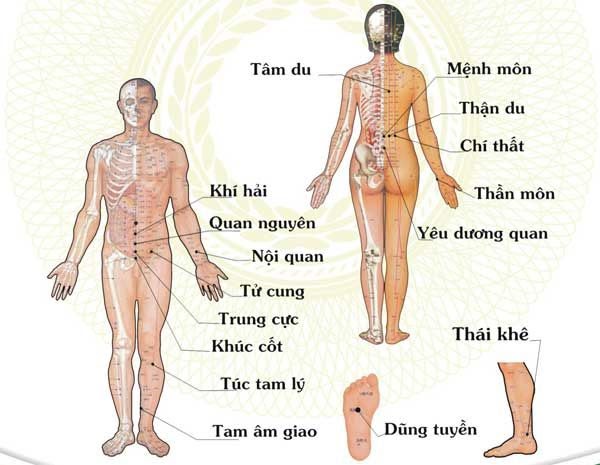 Hệ thống huyệt vị cơ bản trên cơ thể và những vị trí huyệt cần tác động để chữa hen suyễn