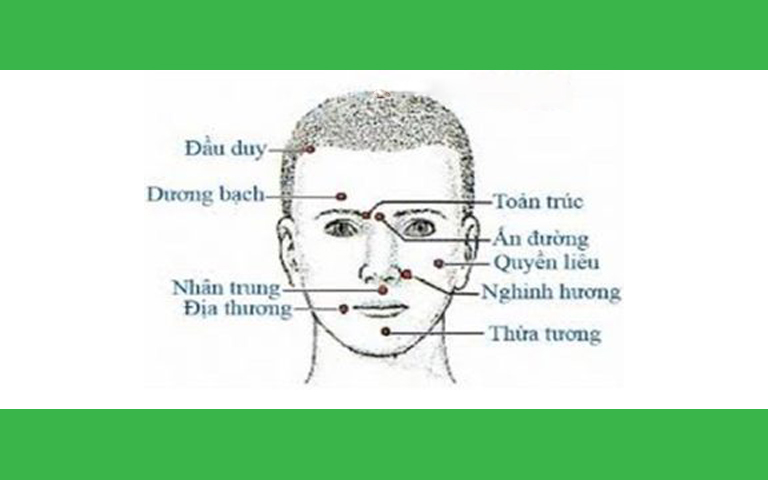 Vị trí các huyệt