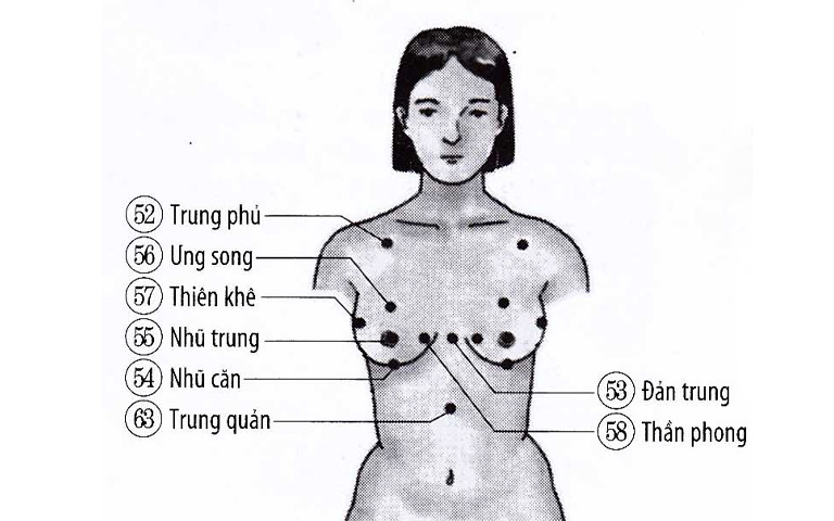 Các vị trí bấm huyệt nâng vòng 1