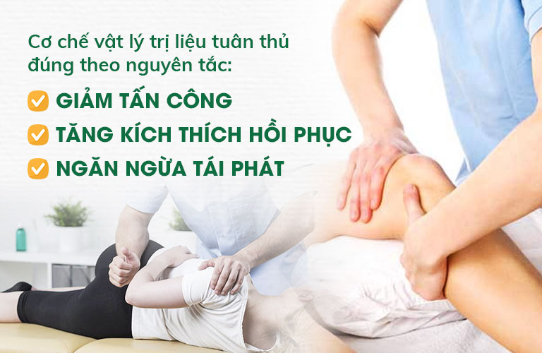 Cơ chế phục hồi chức năng