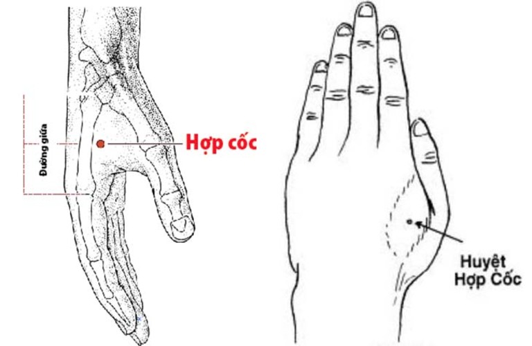 Công dụng của huyệt hợp cốc