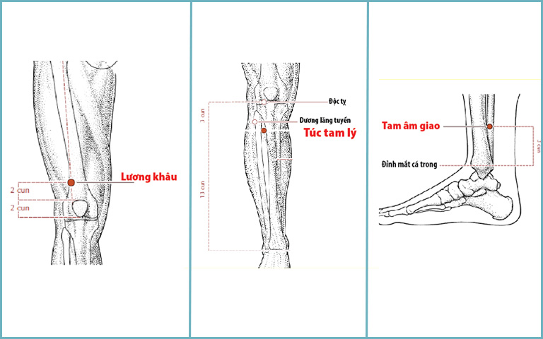 Các huyệt chân trị tai biến