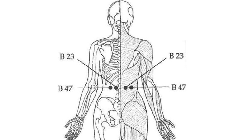 Vị trí cặp huyệt B23 và B47.