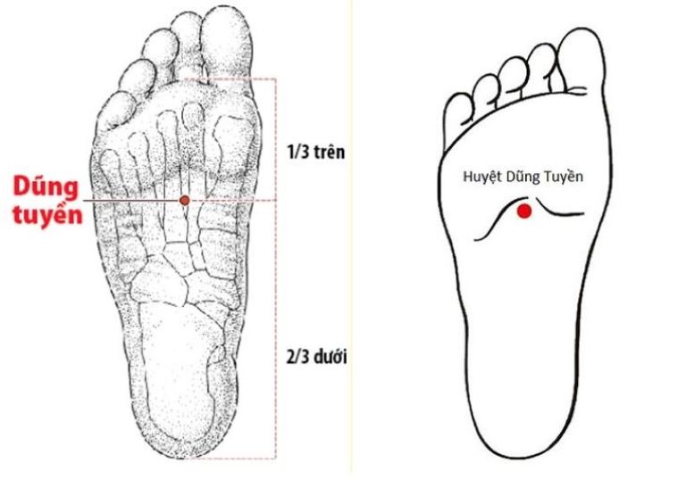 Bấm huyệt Dũng Tuyền để cải thiện triệu chứng ho do viêm amidan