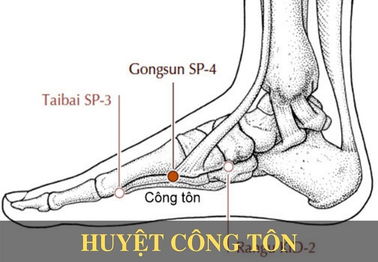 Vị trí huyệt Công tôn.