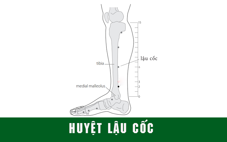 Huyệt Lậu cốc