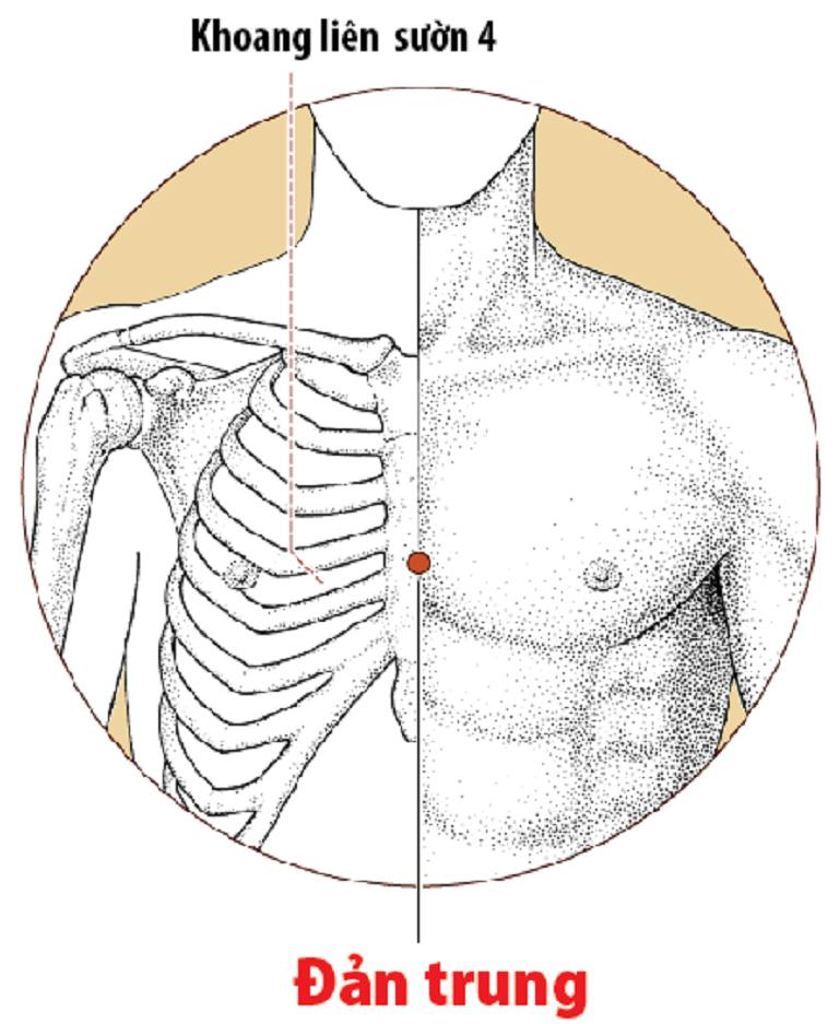 Cách xác định huyệt đản trung