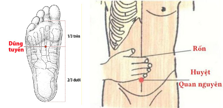 Ví dụ vị trí một số huyệt chữa rối loạn cương dương