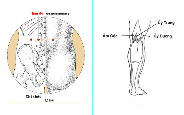 Huyệt trị yếu sinh lý do Thận khí hư