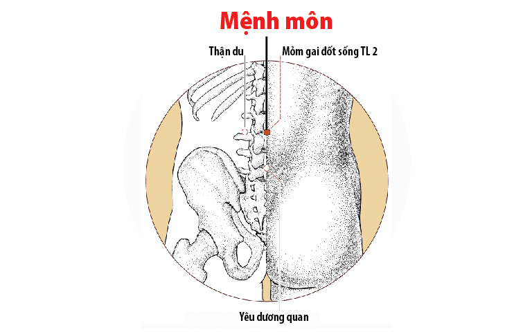 Hình ảnh huyệt Mệnh Môn