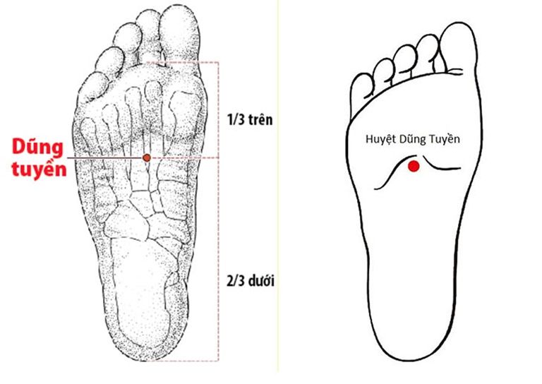 Huyệt nằm ngay dưới gan bàn chân