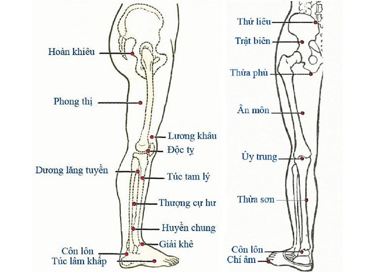 Phối huyệt trị bệnh cần dựa trên cơ sở thông hiểu về các huyệt vị, không được thực hiện tùy tiện