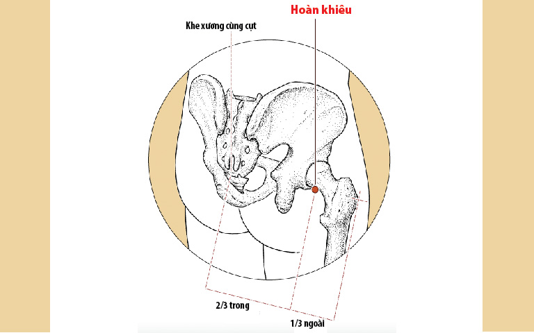 Vị trí huyệt theo Giải phẫu