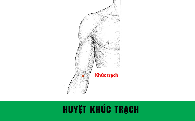 Khúc Trạch chủ trị các bệnh đau tay, đau tim, đau dạ dày...