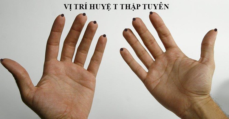 Hình ảnh huyệt Thập Tuyên