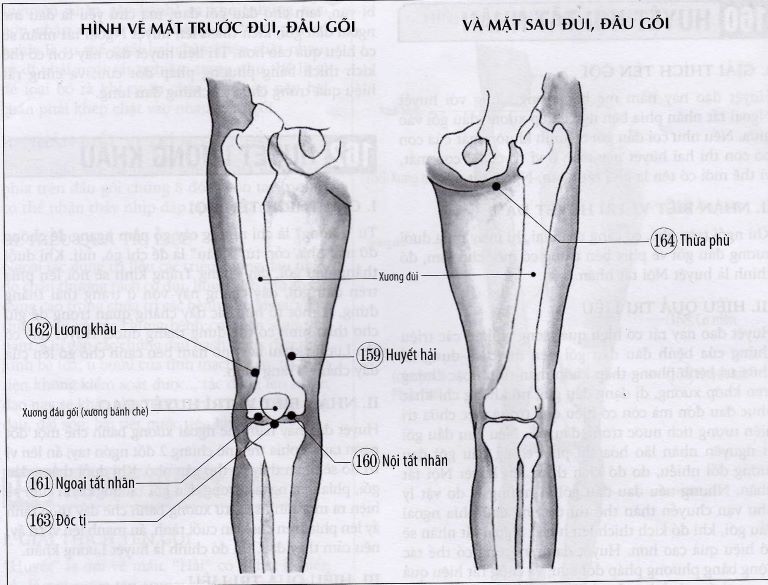 Thừa Phù có thể được sử dụng độc lập hoặc phối kết hợp với các huyệt khác để trị bệnh đạt hiệu quả cao hơn