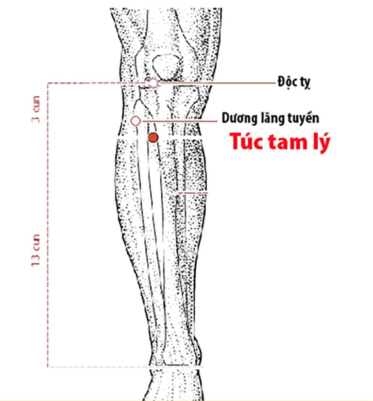 Bấm túc tam lý huyệt để tăng cường sức khỏe