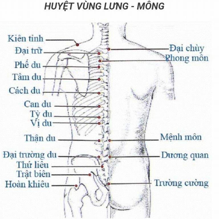 Có thể phối huyệt với các huyệt xung quanh để tăng hiệu quả trị bệnh