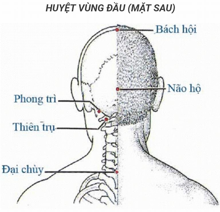 Hình ảnh huyệt Đại Chùy