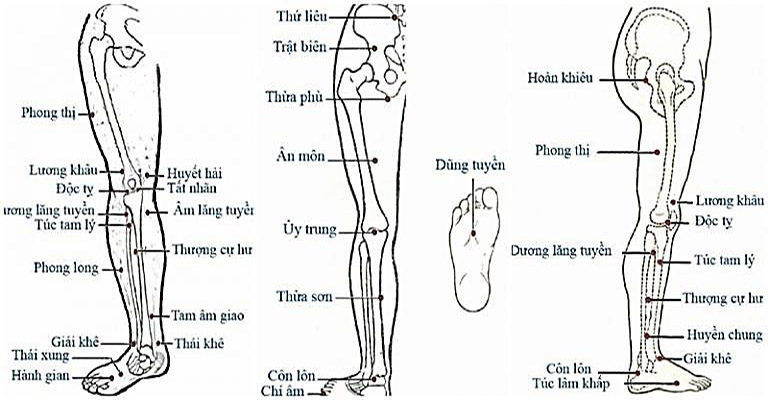 Phối hợp huyệt như thế nào để chữa bệnh?