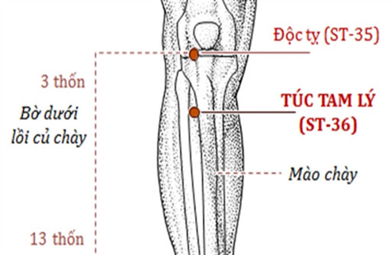 Huyệt Độc Tỵ nằm ở đâu?