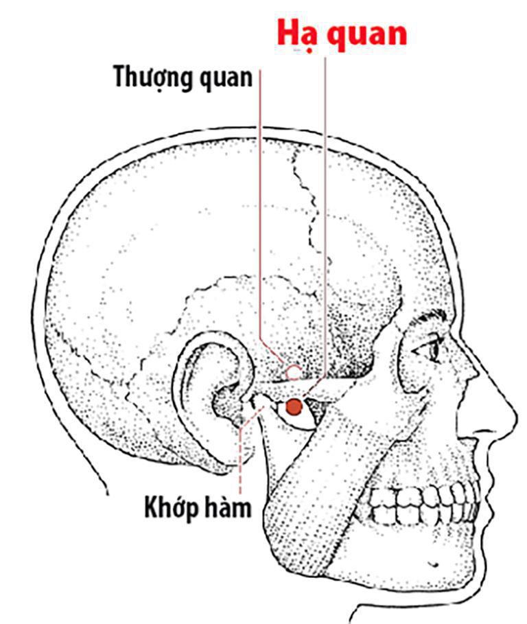 Vị trí huyệt đạo được mô tả trong ảnh