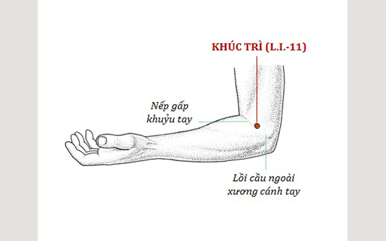 Huyệt Dương Trạch nằm tại chính điểm lõm ở đầu ngoài nếp gấp khuỷu tay