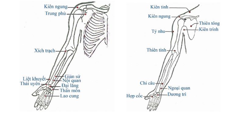 YHCT thường phối hợp Kiên Ngung với các huyệt đạo khác nhằm tăng cường hiệu quả và mở rộng phạm vi trị liệu