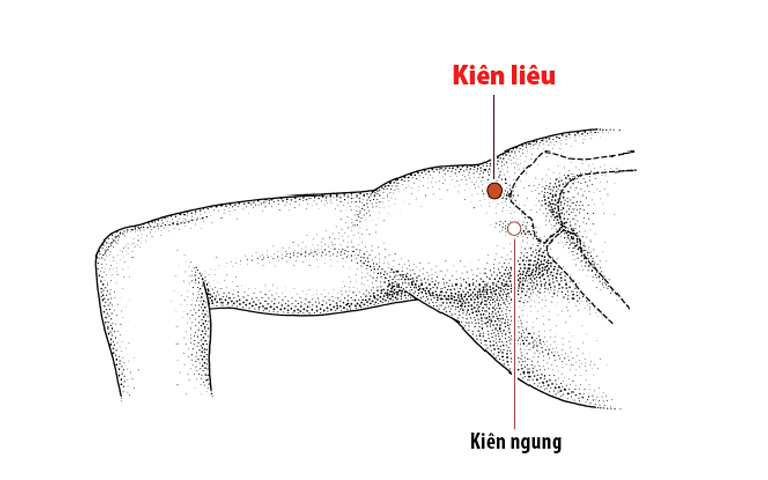 Vị trí huyệt Kiên Ngung