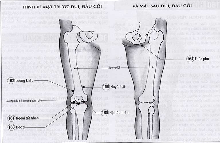 Làm thế nào để phối hợp huyệt chữa bệnh?