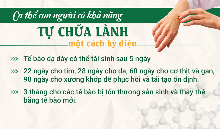 Khả năng tự chữa lành kỳ diệu của cơ thể