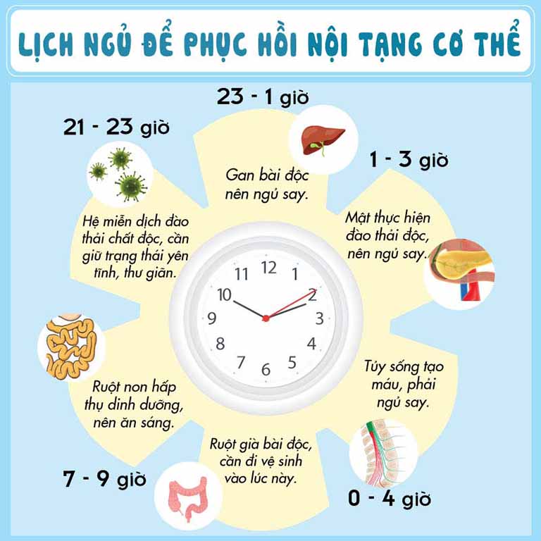 Giấc ngủ có mối quan hệ mật thiết và vô cùng quan trọng với chức năng các cơ quan trong cơ thể 