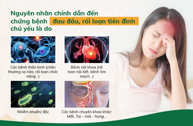 Nguyên nhân chính dẫn đến tình trạng đau đầu, rối loạn tiền đình