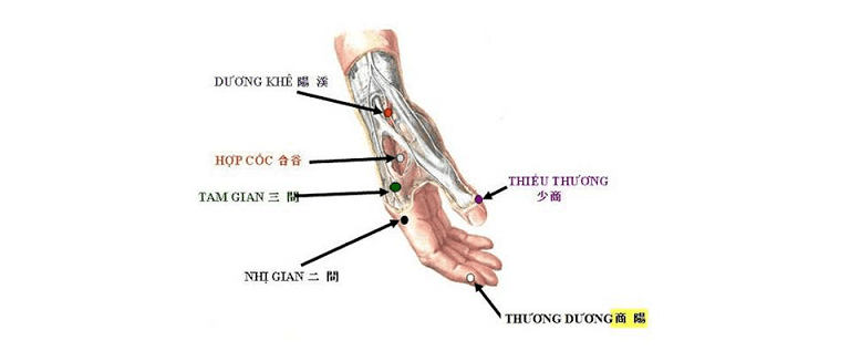 Huyệt đạo là vị trí xuất phát của kinh khí