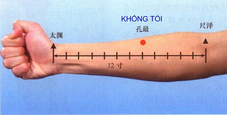 Hình ảnh huyệt khổng tối còn được gọi là khổng huyệt hay du huyệt