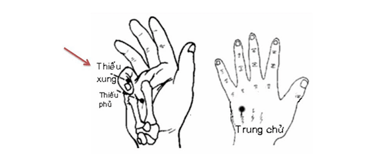 Huyệt vị thứ 9 của kinh Tâm, nằm ở ngón út phía tay quay