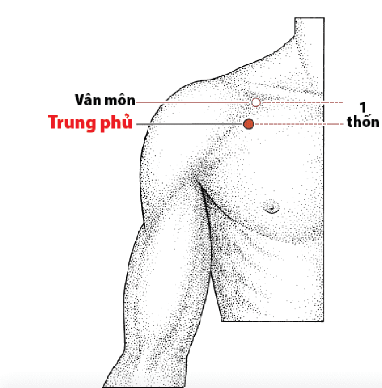 Hình ảnh huyệt Vân Môn