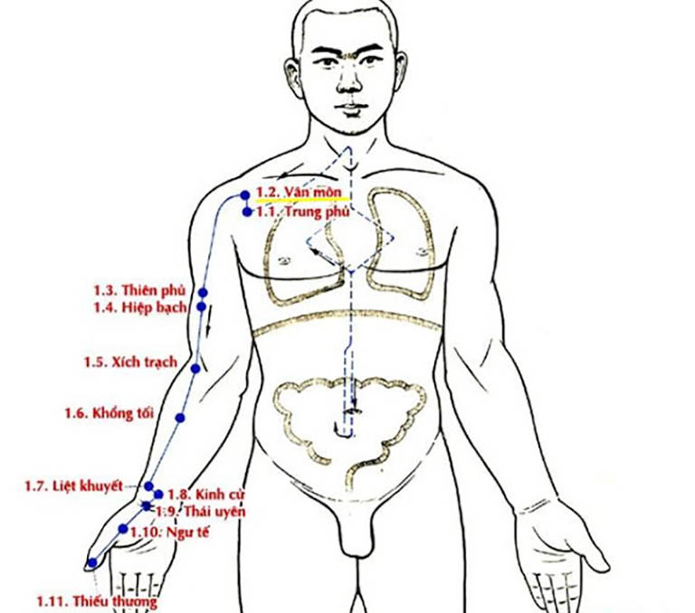 Phối huyệt trị bệnh là phương pháp được các thầy thuốc chỉ định phổ biến