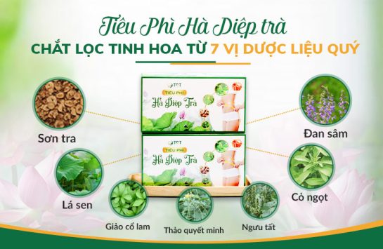 Tiêu Phì Hà Diệp trà kết hợp từ 7 vị dược liệu quý cùng phát huy tác dụng giảm cân