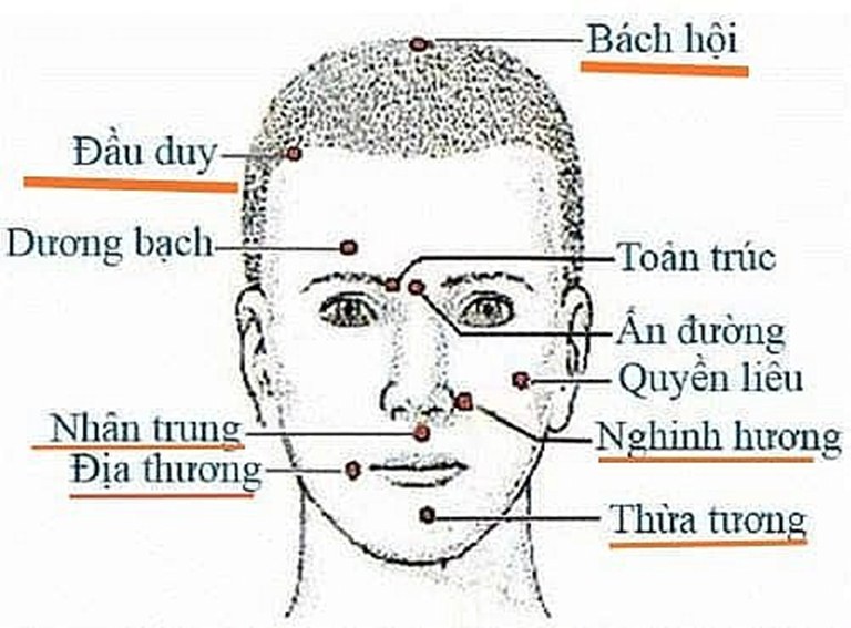 Gia đình có thể áp dụng cách bấm huyệt cho người bị tai biến tại nhà