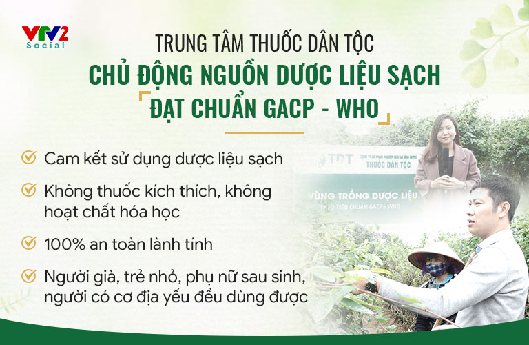 Nguồn dược liệu đưa vào sản xuất sạch, đạt chuẩn