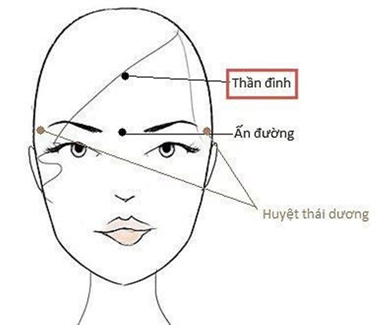 Vị trí chích xác của huyệt Thần đình