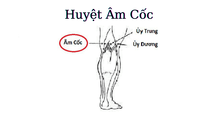 Huyệt Âm Cốc có vị trí cực kỳ quan trọng với sức khỏe