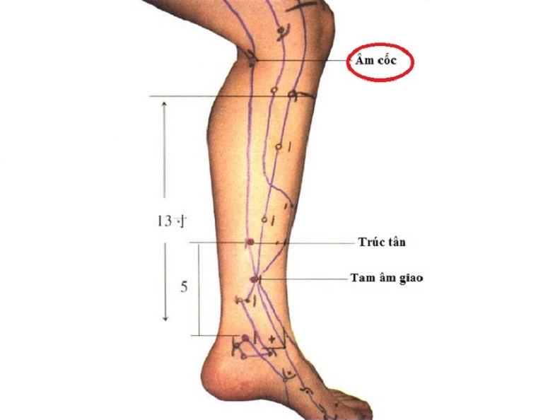 Cách xác đinh vị trí huyệt Âm Cốc