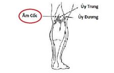 Huyệt Âm Cốc: Vị Trí, Công Dụng Và Cách Tác Động Hiệu Quả