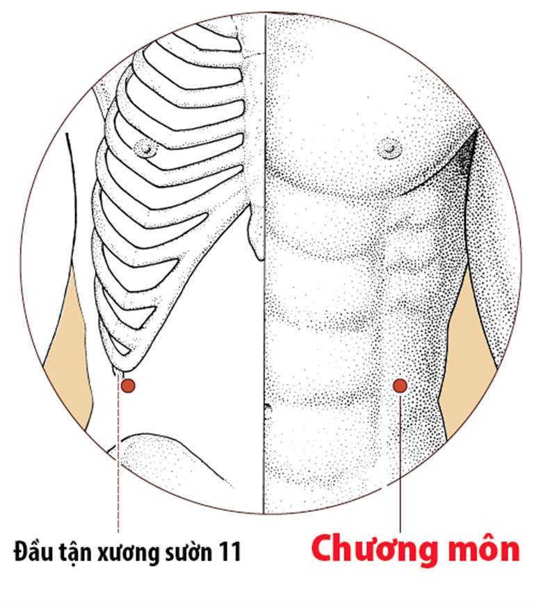 Huyệt Chương Môn là huyệt vị thứ 13 thuộc Túc Quyết âm Can kinh