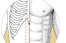 Huyệt Cự Khuyết: Vị trí, Tác Dụng Chữa Bệnh Và Cách Áp Dụng